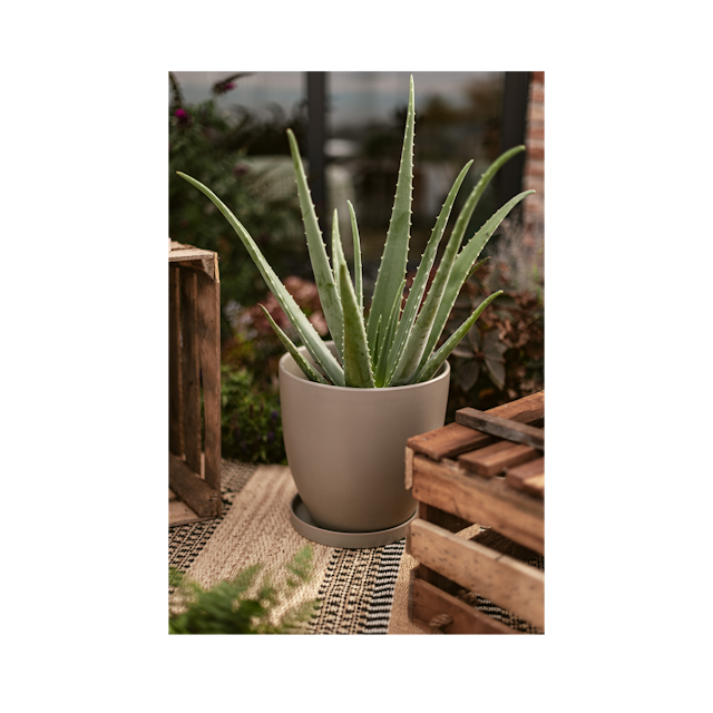 Plant Pot Pamu, grün
