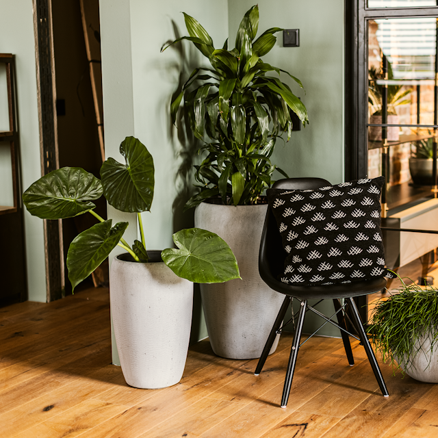 Plant Pot Marlu