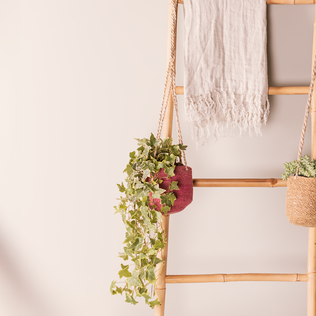 Hanging Pot Lari