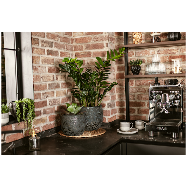 Plant Pot Ilmari schwarz antik