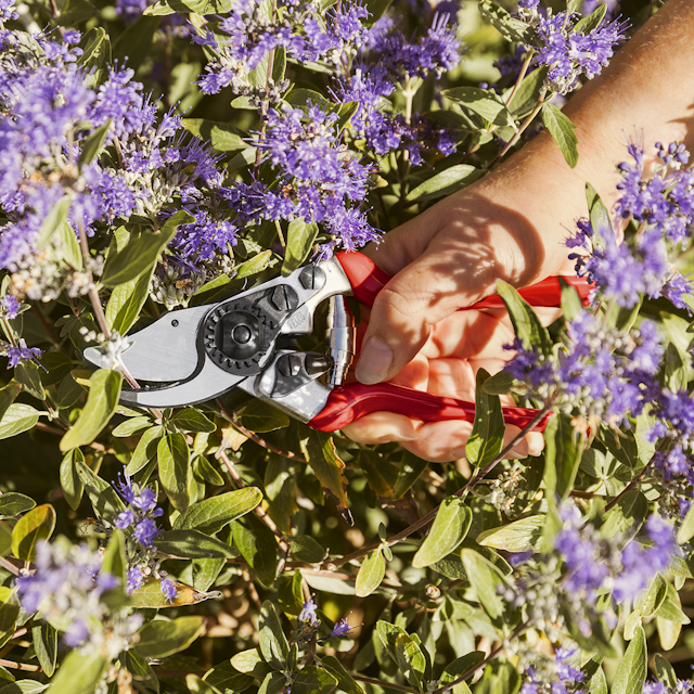 FELCO Gartenschere 14