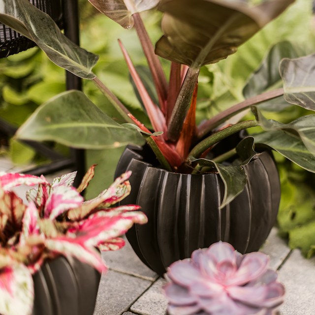 Plant Pot Niilo, schwarz