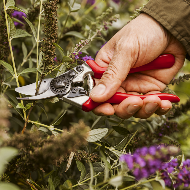 FELCO Gartenschere 6