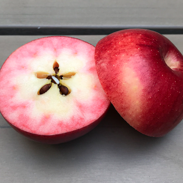 Gesundheitsapfel Elmira pink