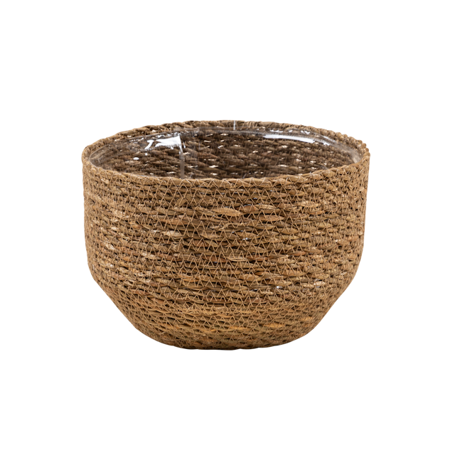 Plant Bowl Yva