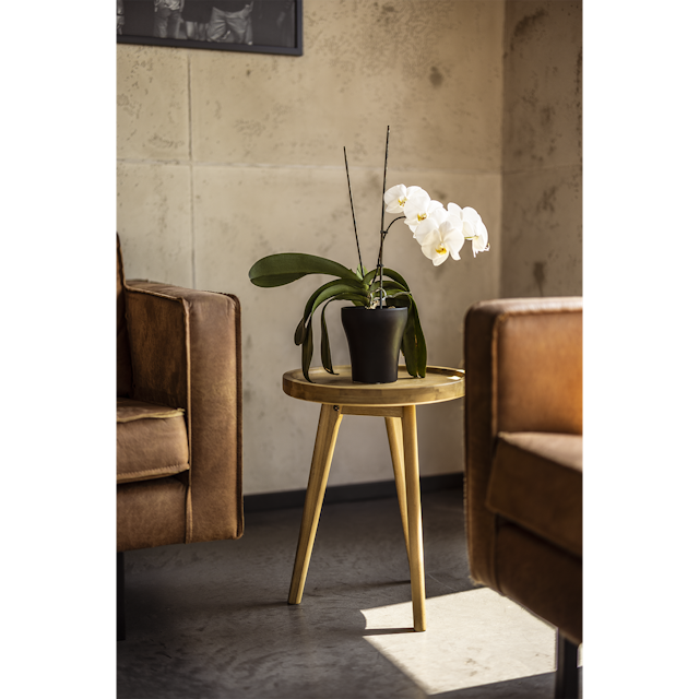 Plant Pot Floora