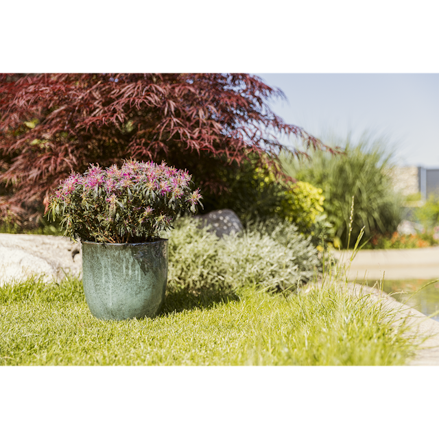 Plant Pot Valio