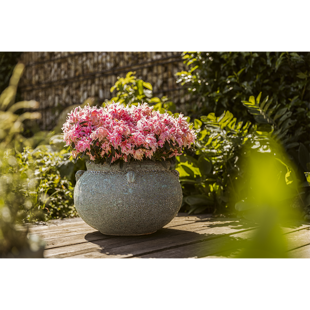 Plant Pot Ensio grün antik