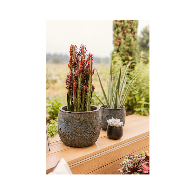 Plant Pot Ilmari schwarz antik