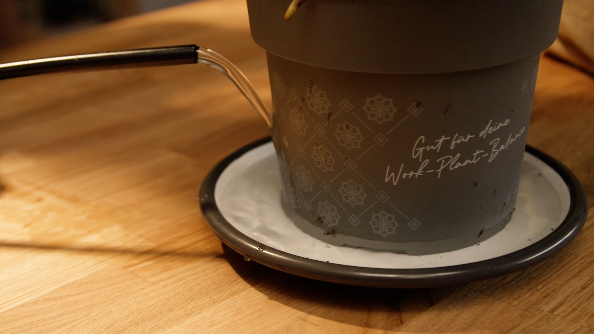 Bottom Watering - Pflanzen von unten gießen