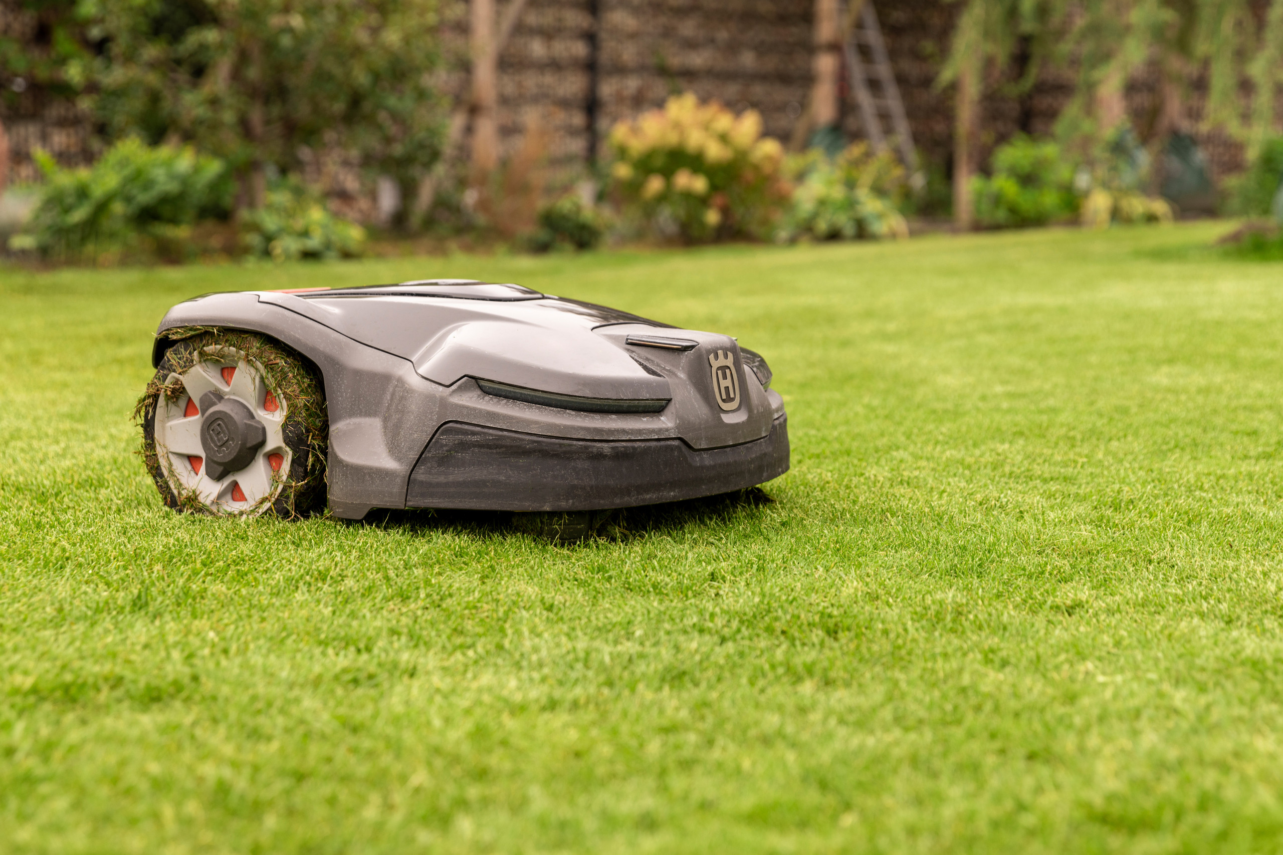 Frühjahrspflege für deinen Rasen