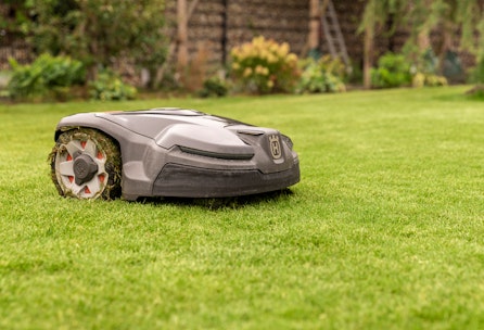 Frühjahrspflege für deinen Rasen