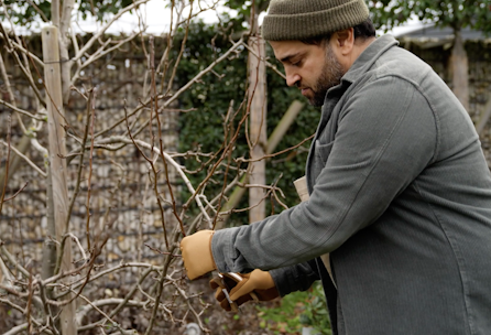 Obstbaumpflege im Januar