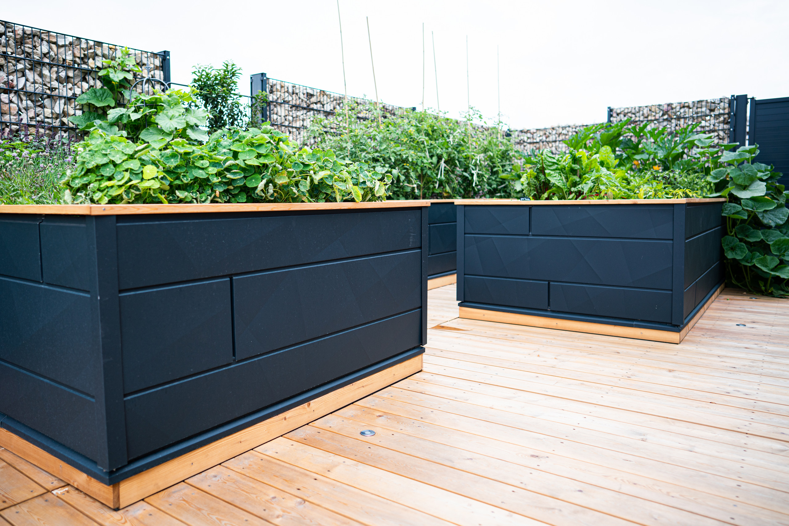 Hochbeete erneuern und sommerfit machen - Teil 1