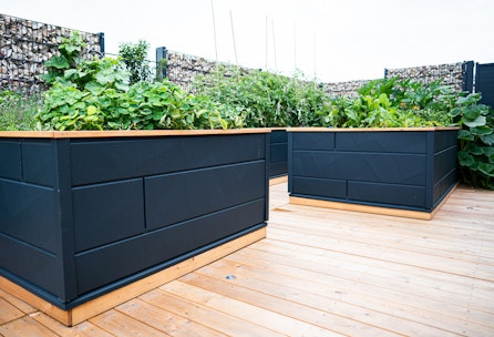 Hochbeete erneuern und sommerfit machen - Teil 1