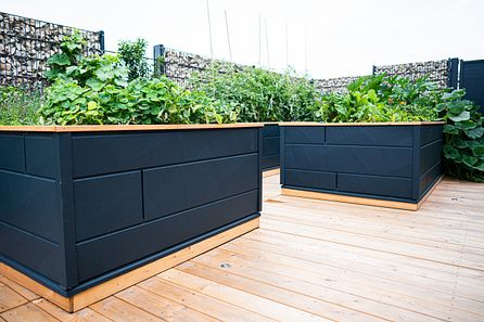 Hochbeete erneuern und sommerfit machen - Teil 1