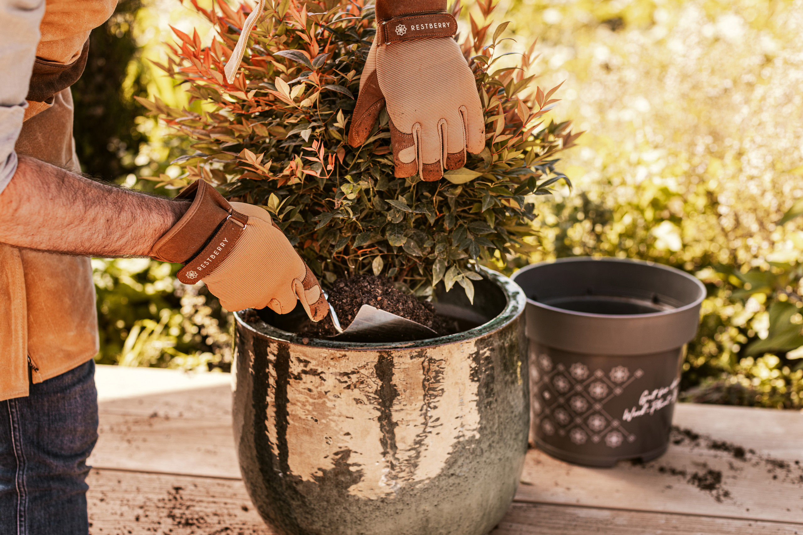 Unsere Tipps zur richtigen Kübelbepflanzung