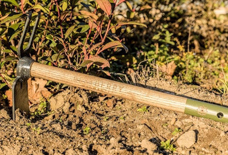 Vorbereitung Pflanzbeete