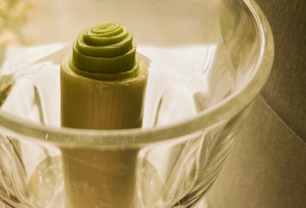 Regrowing - nachwachsender Lauch