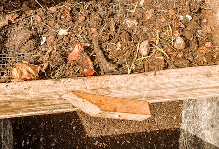 Tipps für den perfekten Kompost