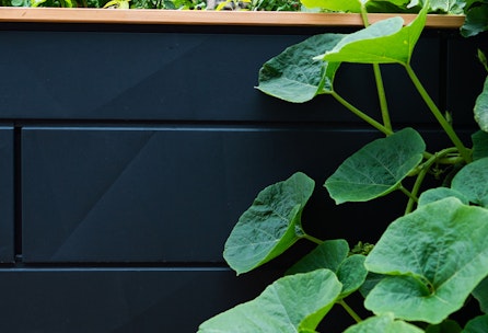 So bringst du dein Hochbeet sicher durch den Winter