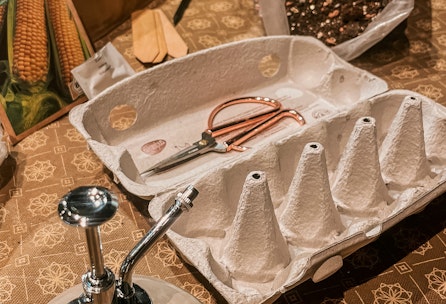 DIY Gewächshaus - Gemüse vorziehen