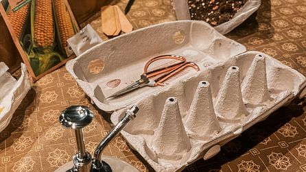 DIY Gewächshaus - Gemüse vorziehen