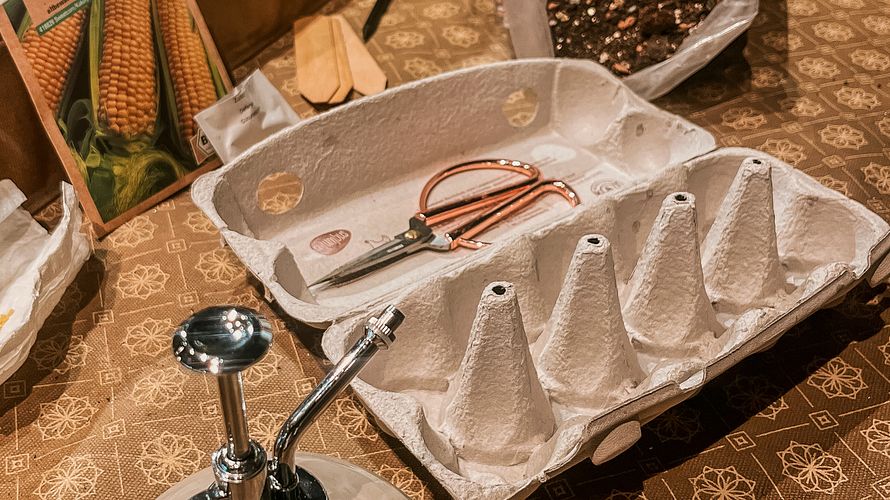 DIY Gewächshaus - Gemüse vorziehen