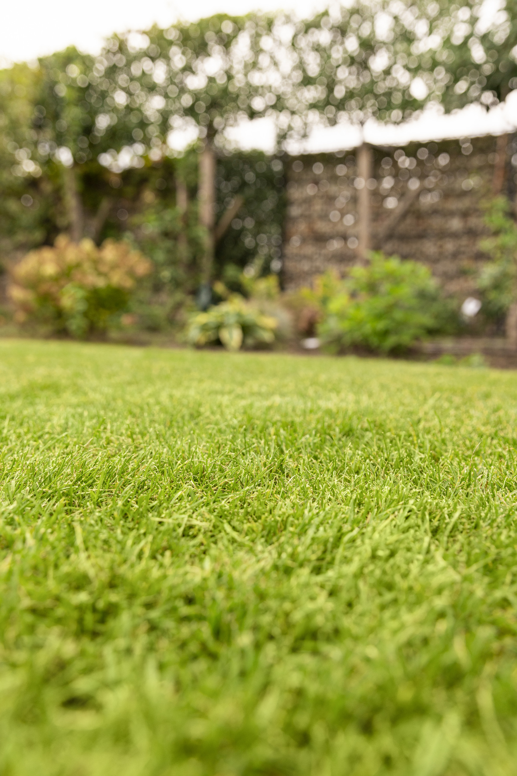 Rasenpflege Teil 1: Rasenbewässerung