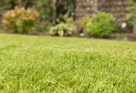 Rasenpflege Teil 1: Rasenbewässerung