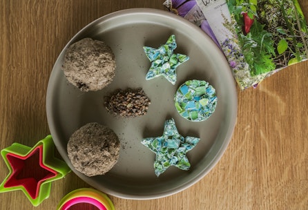 DIY Samenbomben und Samenplätzchen