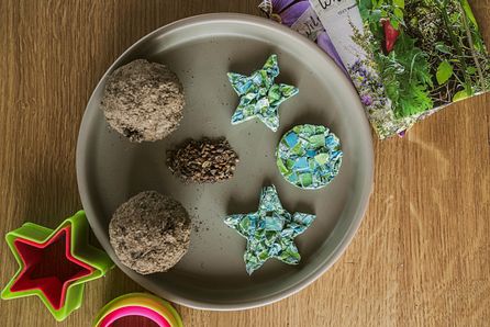 DIY Samenbomben und Samenplätzchen