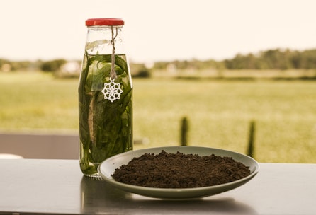 DIY Biodünger aus Küchenresten