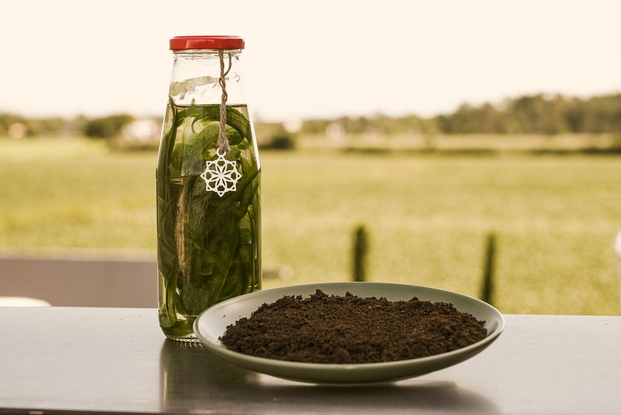 DIY Biodünger aus Küchenresten