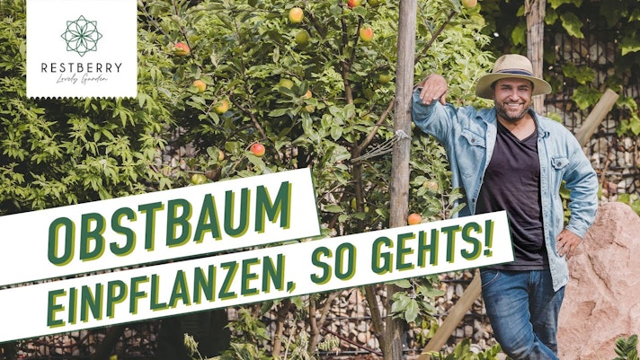 Vorschaubild Youtube-Video Vorschaubild Youtube-Video