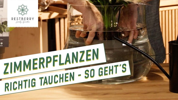 Vorschaubild Youtube-Video Vorschaubild Youtube-Video