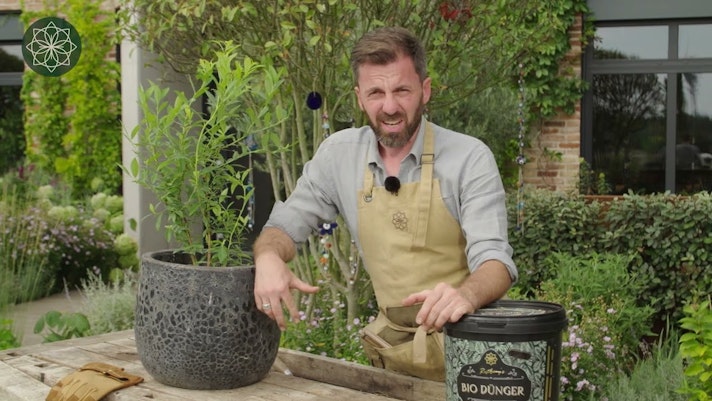 Vorschaubild Youtube-Video Vorschaubild Youtube-Video