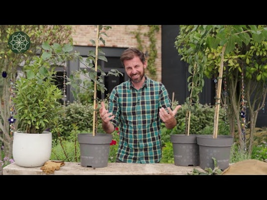 Vorschaubild Youtube-Video