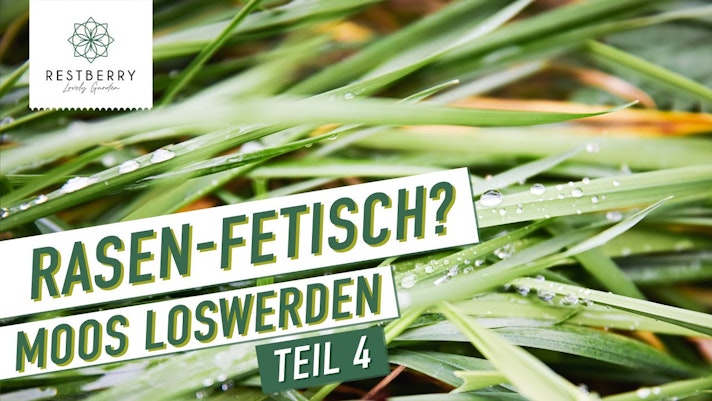 Vorschaubild Youtube-Video Vorschaubild Youtube-Video