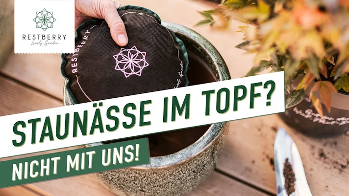 Vorschaubild Youtube-Video