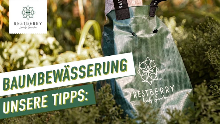 Vorschaubild Youtube-Video